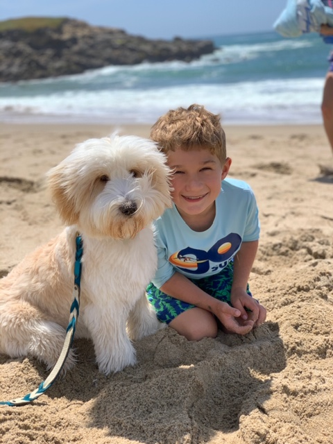Charlie & His Owner enjoying the beach