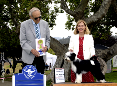 Serenity’s Poetry In Motion, Kate wins Best in Show Puppy 4-6 Months under Judge, Kenneth E. Berg.